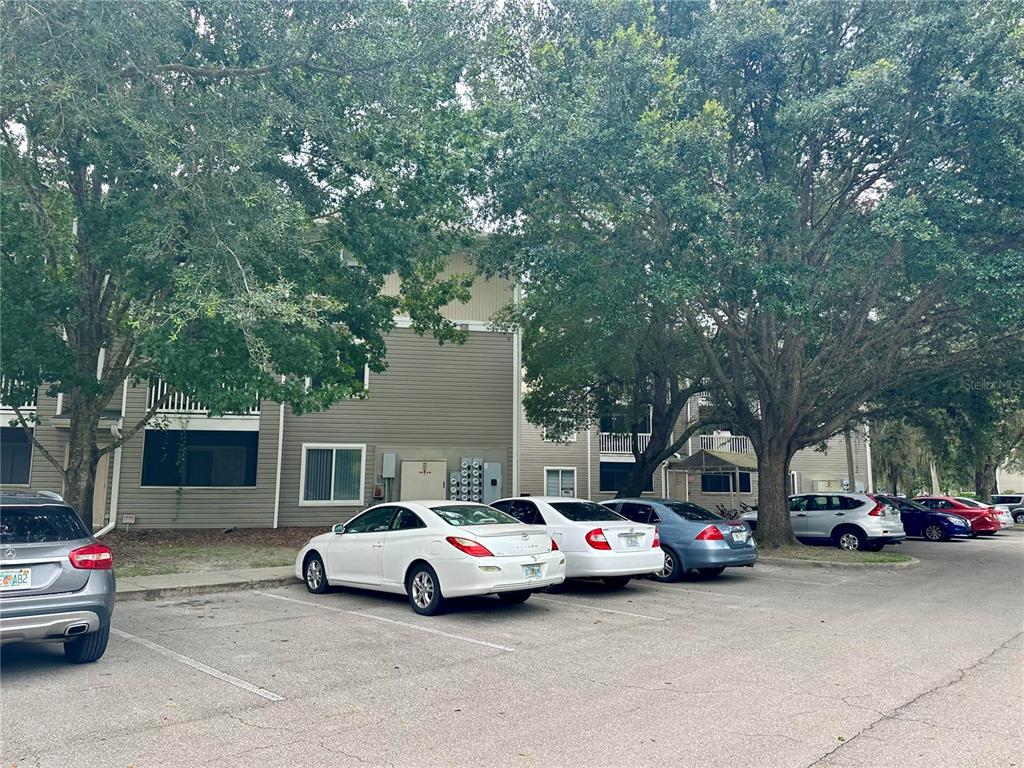 4000 Southwest 23rd Street, Unit 4102 Gainesville, FL 32608 - Photo 2 of 12