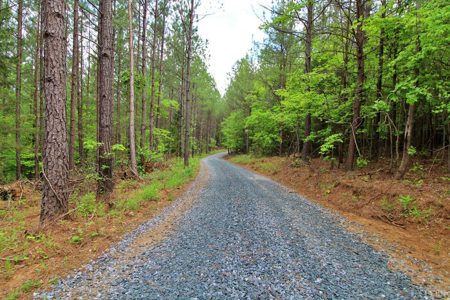 0 Paradise Hill Road Spout Spring, VA 24538 - Photo 1 of 6 a view of a forest filled with trees