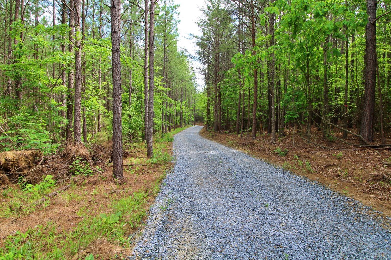 0 Paradise Hill Road Spout Spring, VA 24538 - Photo 4 of 6 a view of a forest with trees