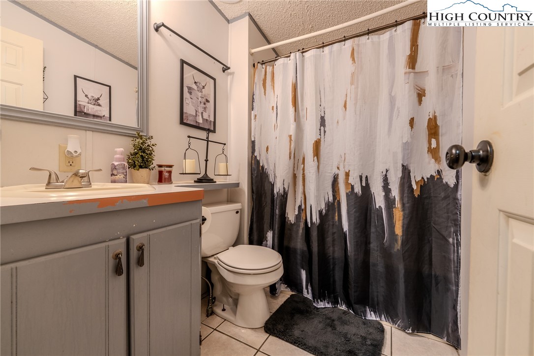 672 Upper Hanging Rock Road Spruce Pine, NC 28777 - Photo 18 of 22 a bathroom with a sink a toilet and a shower