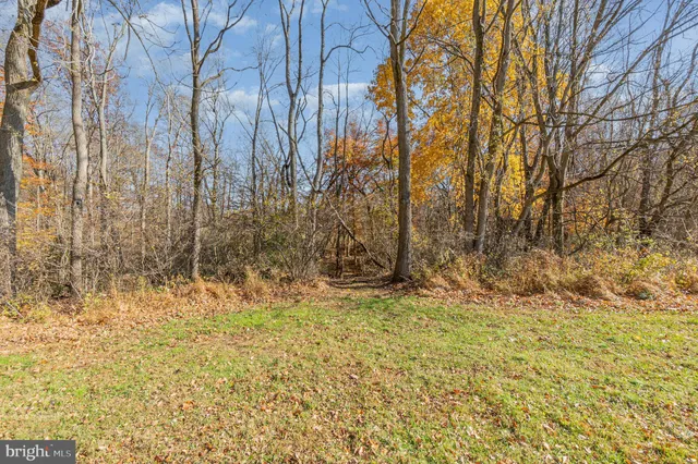 a view of covered with green space