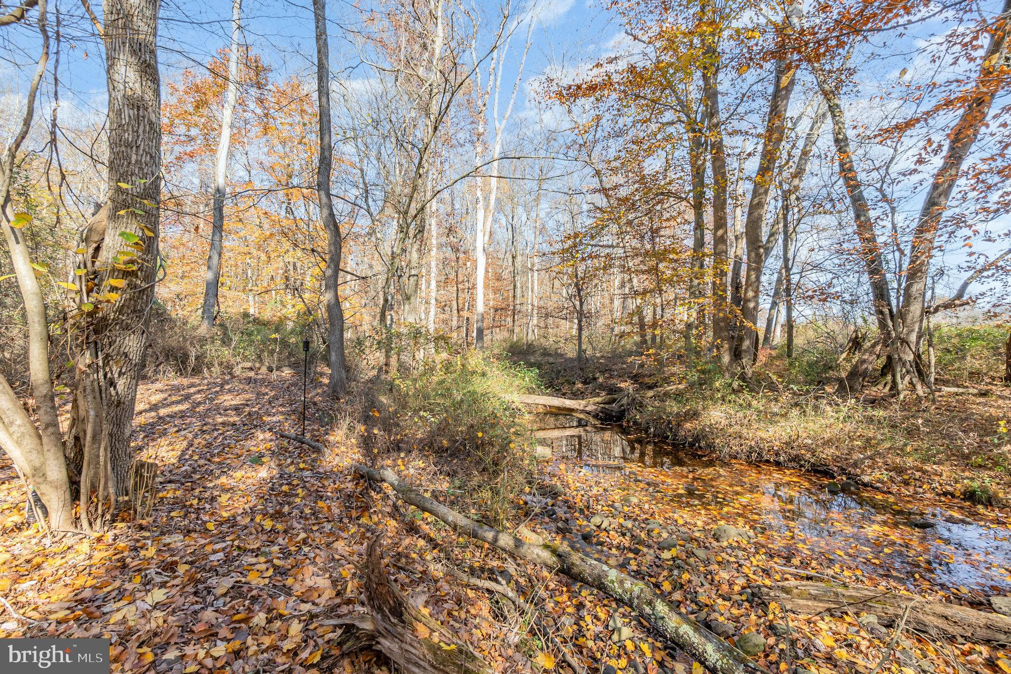 316 Hitching Post Drive Rising Sun, MD 21911 - Photo 35 of 42 a view of covered with green space