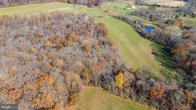 a view of an swimming pool with a yard