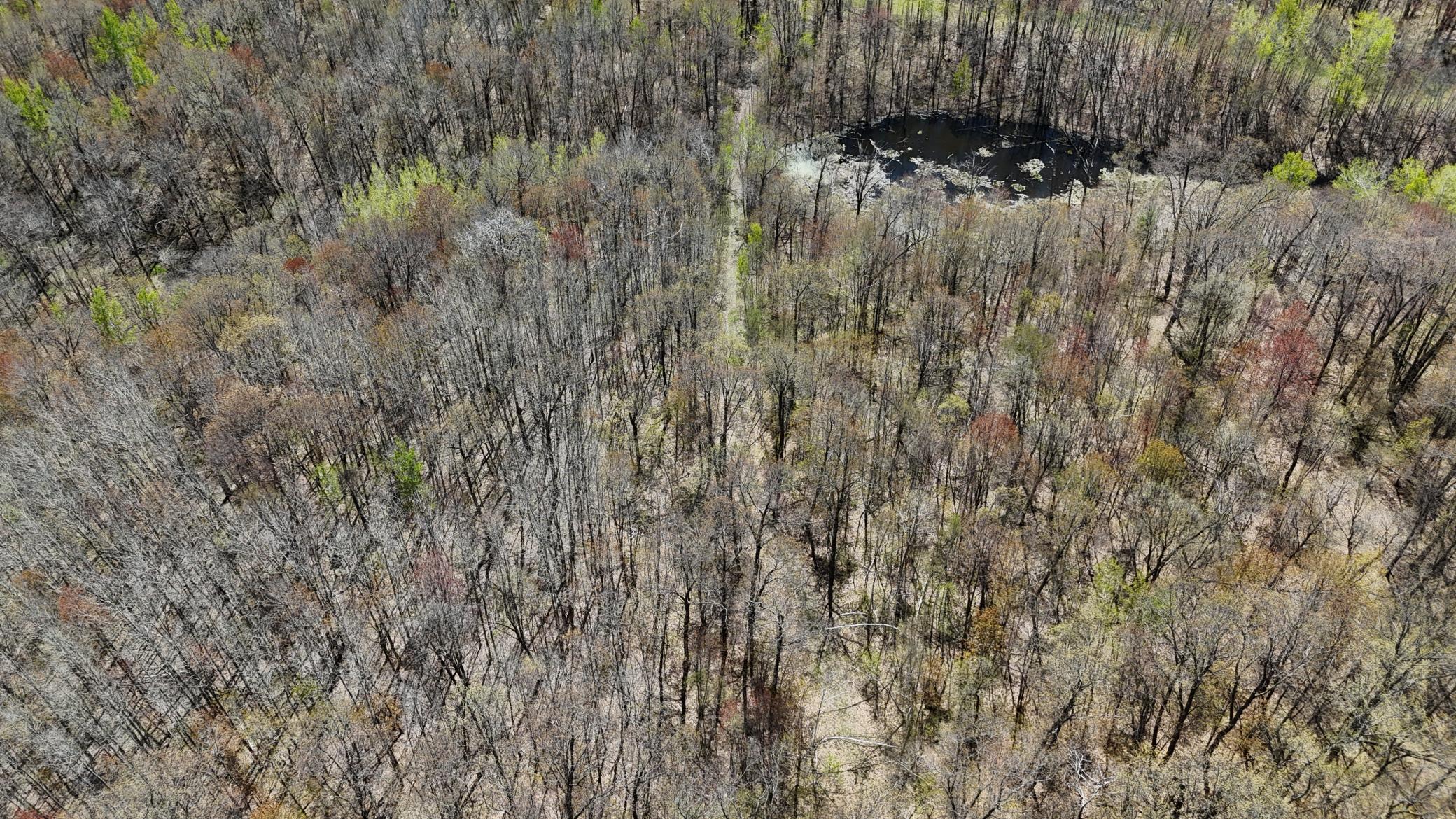 Tbd Bear Road Cushing, MN 56443 - Photo 21 of 42