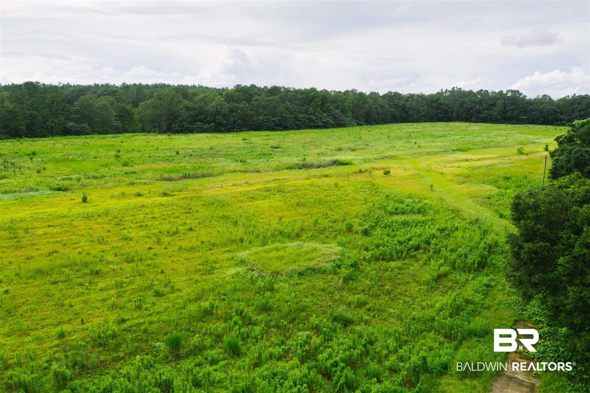 18703 County Road 64 Loxley, AL 36551 - Photo 6 of 10