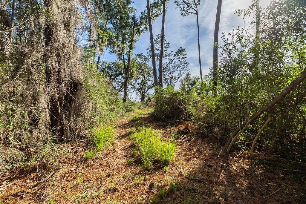 0 Oak Bluff Road Southeast McRae-Helena, GA 31037 - Photo 19 of 47