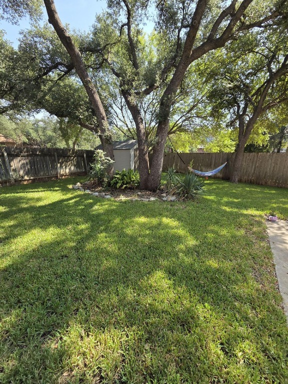 1203 Cardinal Lane Round Rock, TX 78681 - Photo 17 of 17 a view of a field with a tree