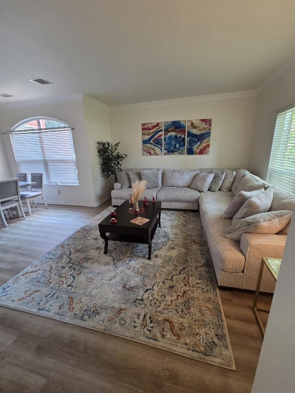 1203 Cardinal Lane Round Rock, TX 78681 - Photo 3 of 17 a living room with furniture and a rug