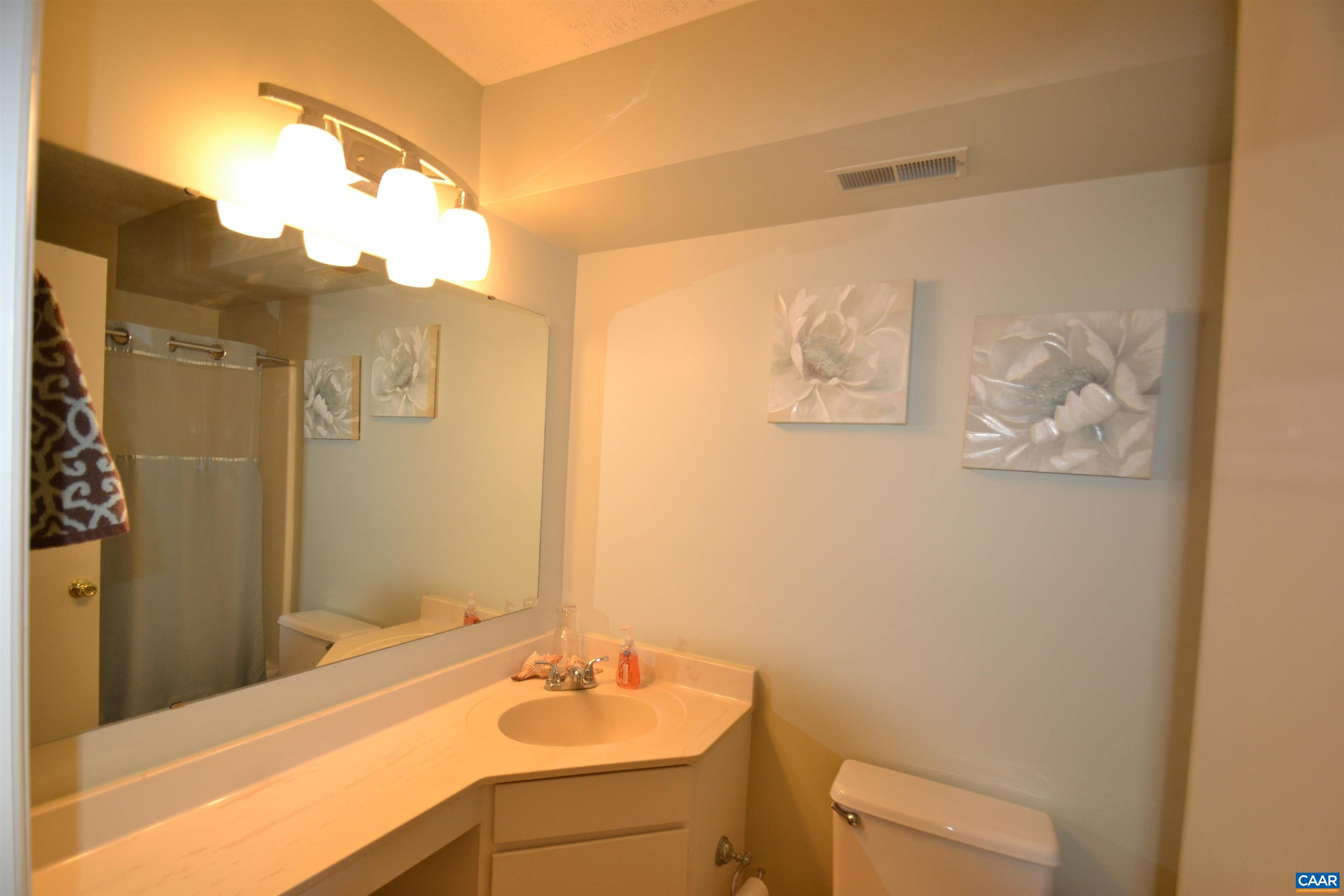 116 Turtle Creek Road, Unit 2 Charlottesville, VA 22901 - Photo 34 of 39 a bathroom with a sink mirror and a shower