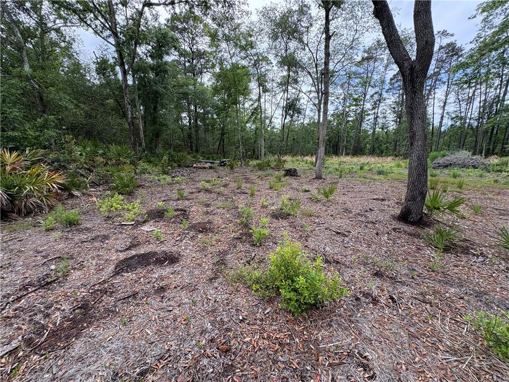0 Piney Bluff Road Waverly, GA 31565 - Photo 11 of 26 Interior Property View