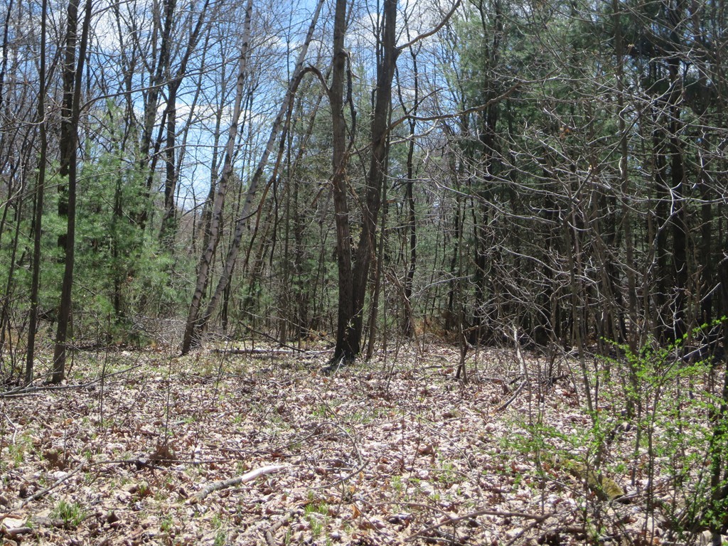 7 St George Road Brimfield, MA 01010 - Photo 1 of 8