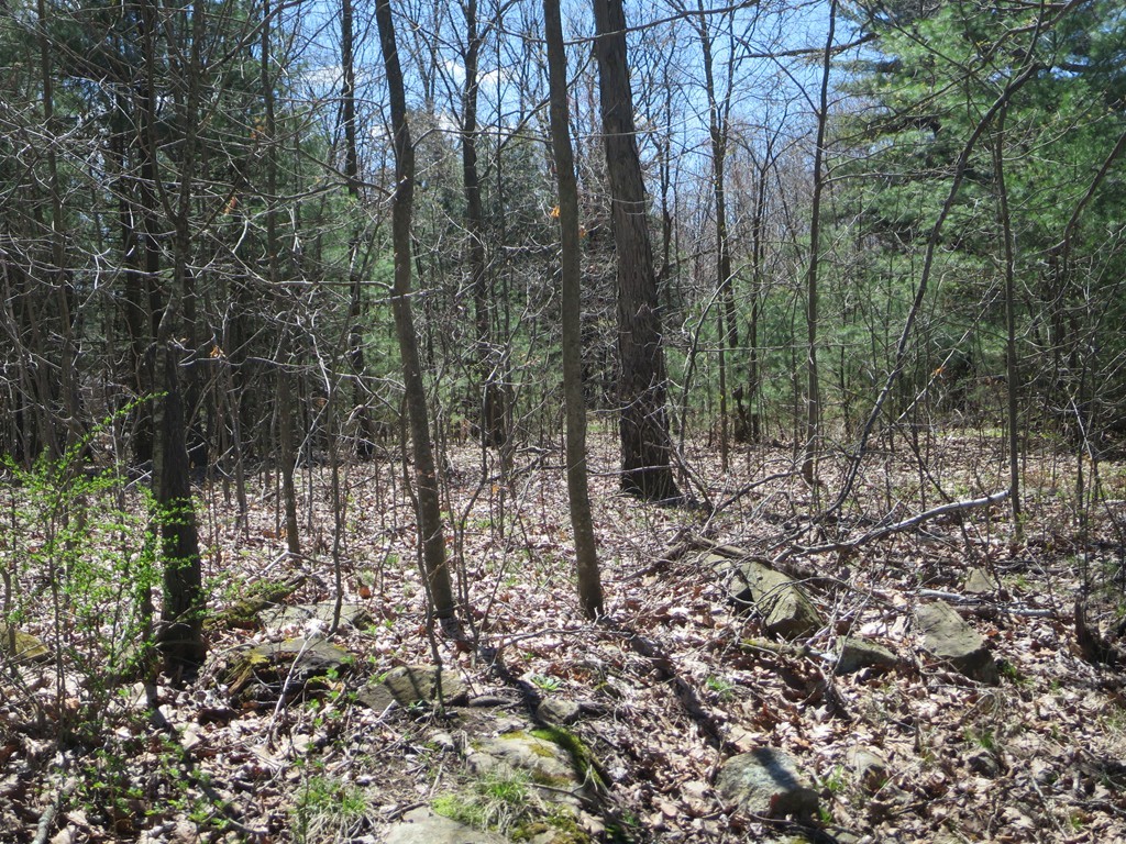 7 St George Road Brimfield, MA 01010 - Photo 2 of 8