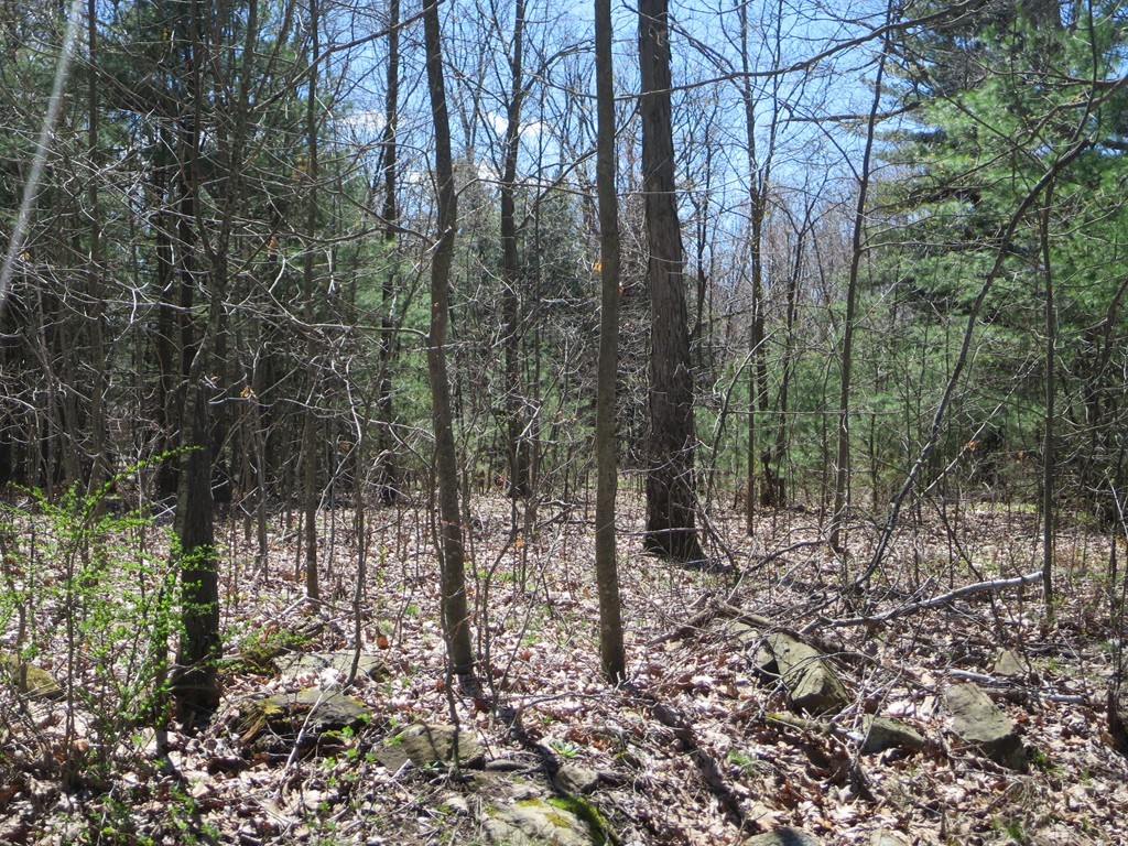 7 St George Road Brimfield, MA 01010 - Photo 5 of 8
