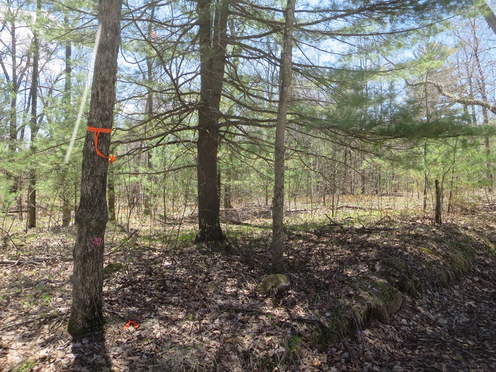 7 St George Road Brimfield, MA 01010 - Photo 6 of 8