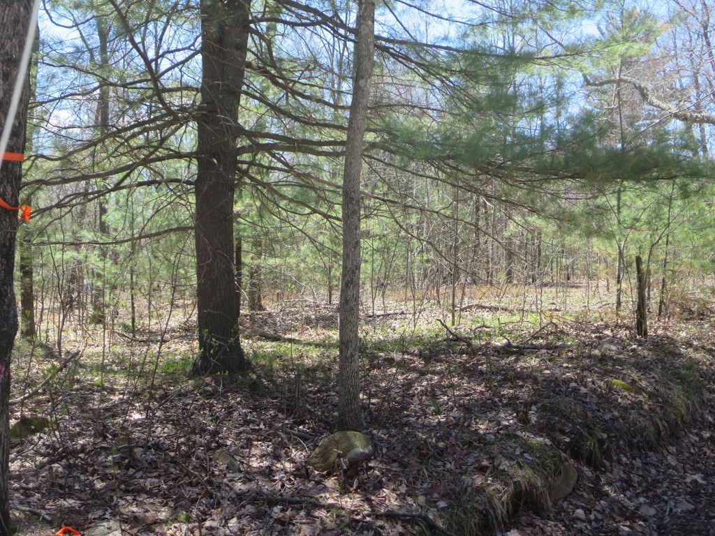 7 St George Road Brimfield, MA 01010 - Photo 7 of 8