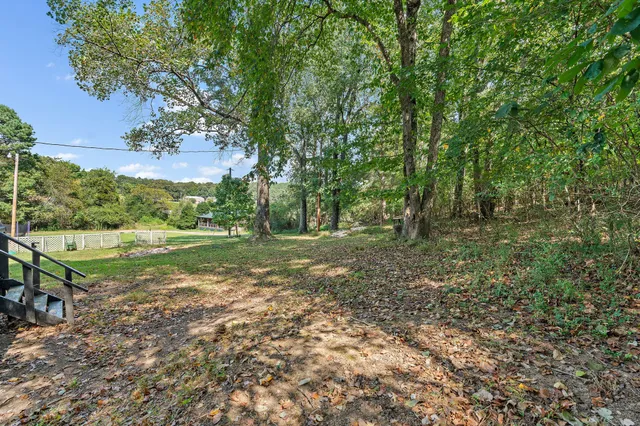 a view of backyard with outdoor and green space