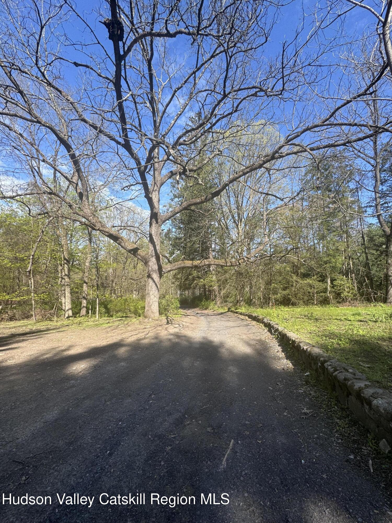 175 Dewitt Mills Road Hurley, NY 12443 - Photo 6 of 10 IMG_0486 (1)