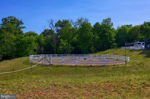 a view of a swimming pool with a yard