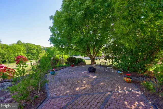 a view of a tree in a backyard of a house