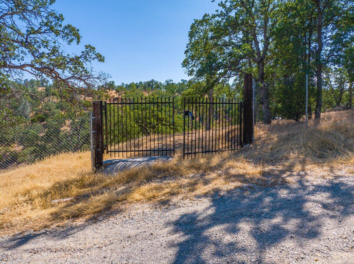 6917 Earpe Court Corning, CA 96021 - Photo 3 of 12 a view of a backyard with large trees
