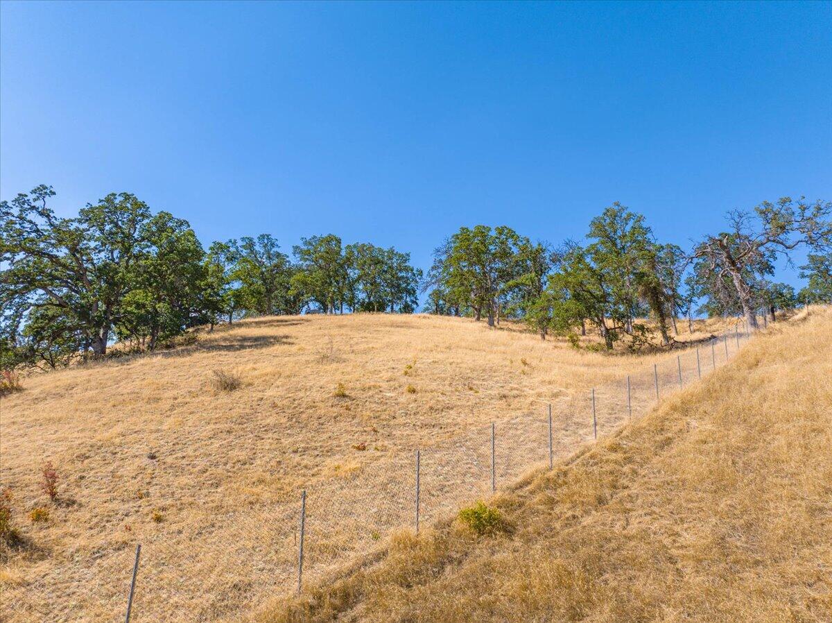 6917 Earpe Court Corning, CA 96021 - Photo 6 of 12 a view of outdoor space and yard