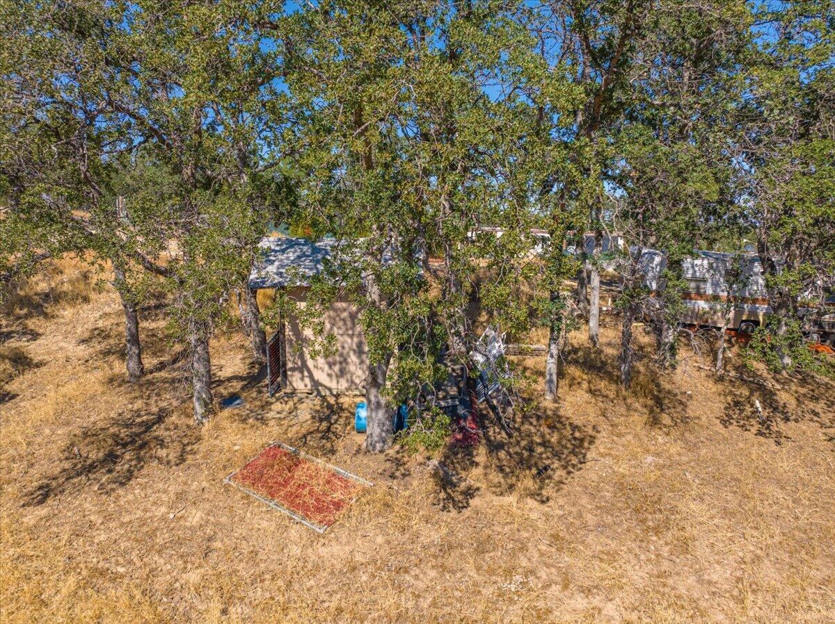 6917 Earpe Court Corning, CA 96021 - Photo 10 of 12 a view of a tree