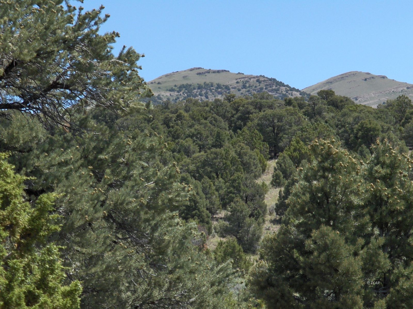 5 Twp 38n Rge 67e Montello, NV 89830 - Photo 3 of 4