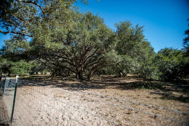 a view of outdoor space with trees