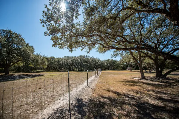 a view of dirt yard with a tree