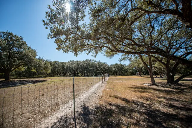 a view of dirt yard with a tree