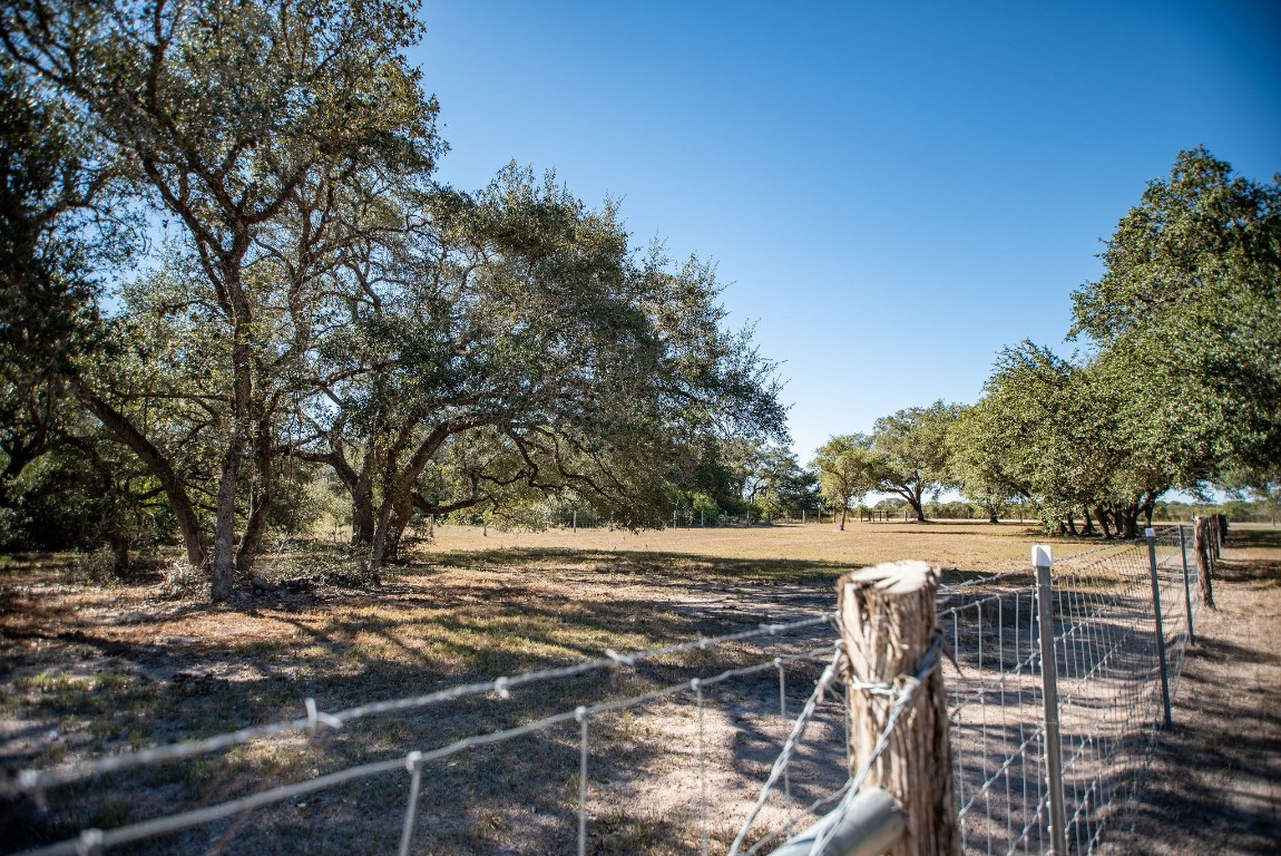 437 Bischoff Road Inez, TX 77968 - Photo 40 of 45 a view of a backyard with trees