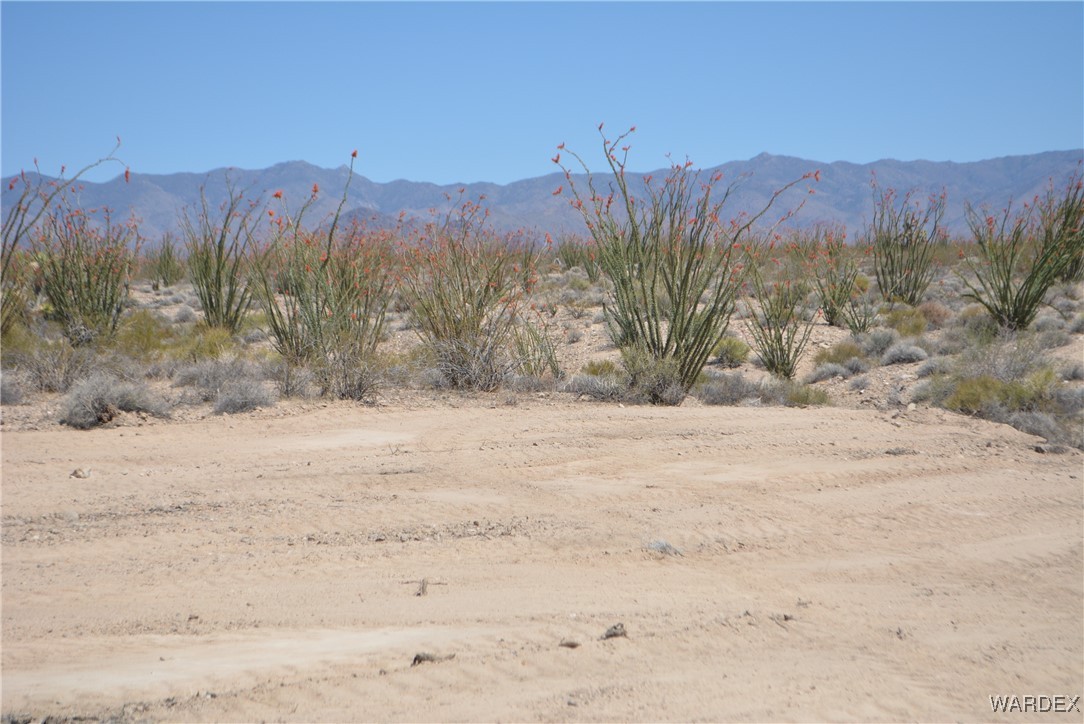 245-24-107 South Rainbow Road Yucca, AZ 86438 - Photo 5 of 91