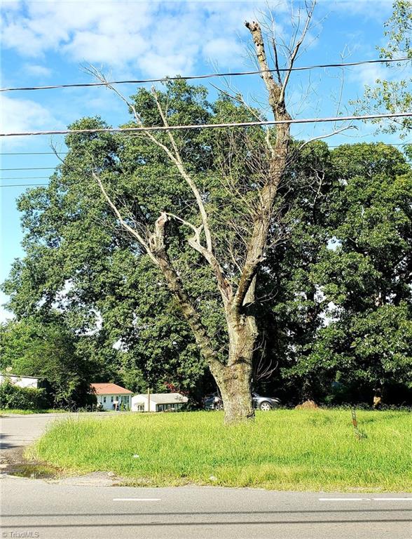 Larger tree with leaves is beyond the property line. 