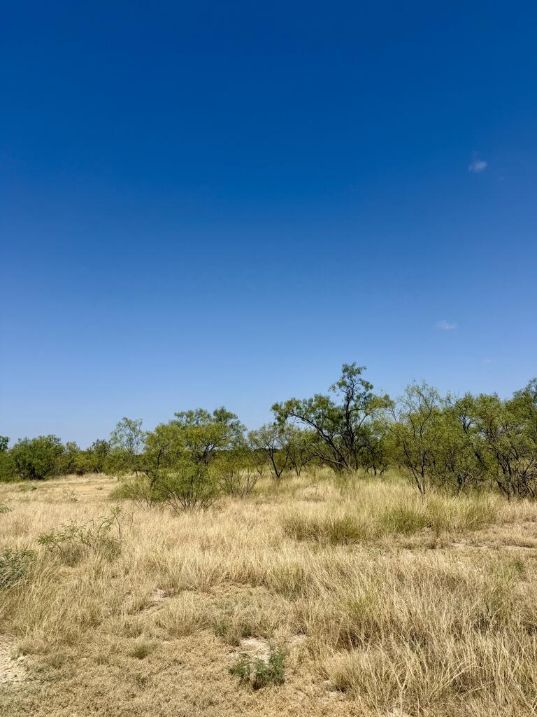 524 South Trap Road Fort McKavett, TX 76841 - Photo 12 of 20 Gallery Image 12