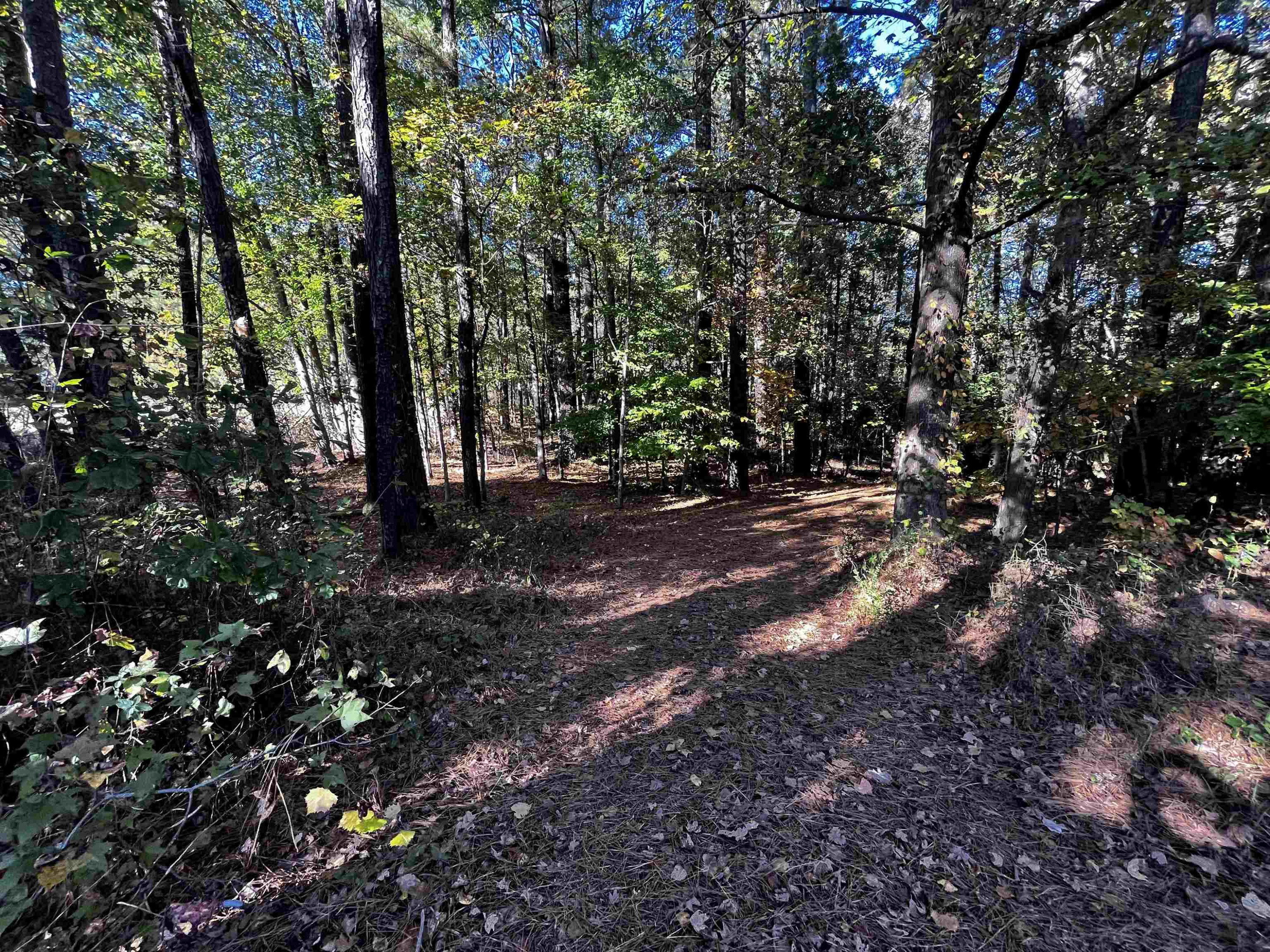 4504 Yates Mill Pond Road Raleigh, NC 27606 - Photo 22 of 57 Photo 22