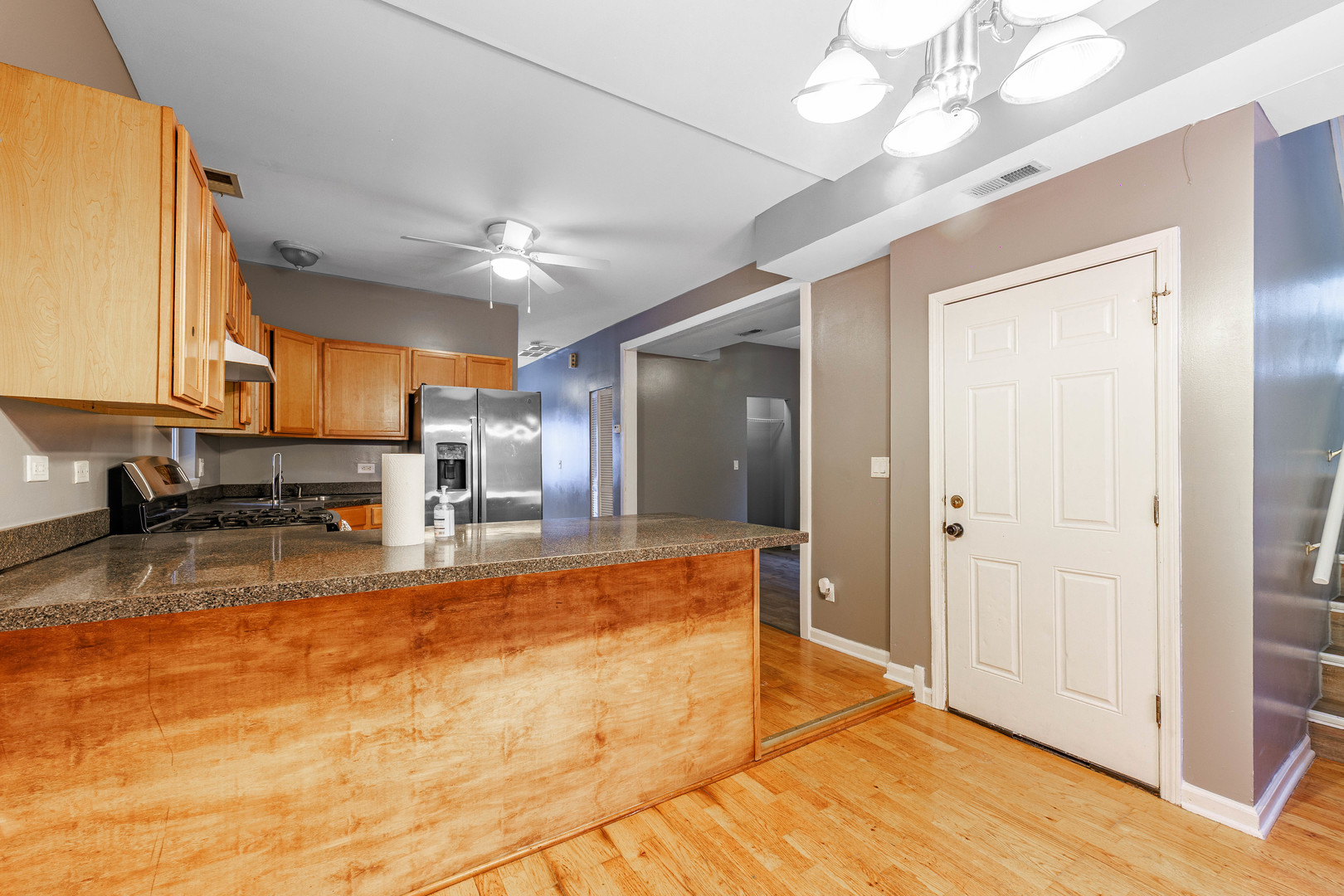 2446 West 69th Street Chicago, IL 60629 - Photo 10 of 29