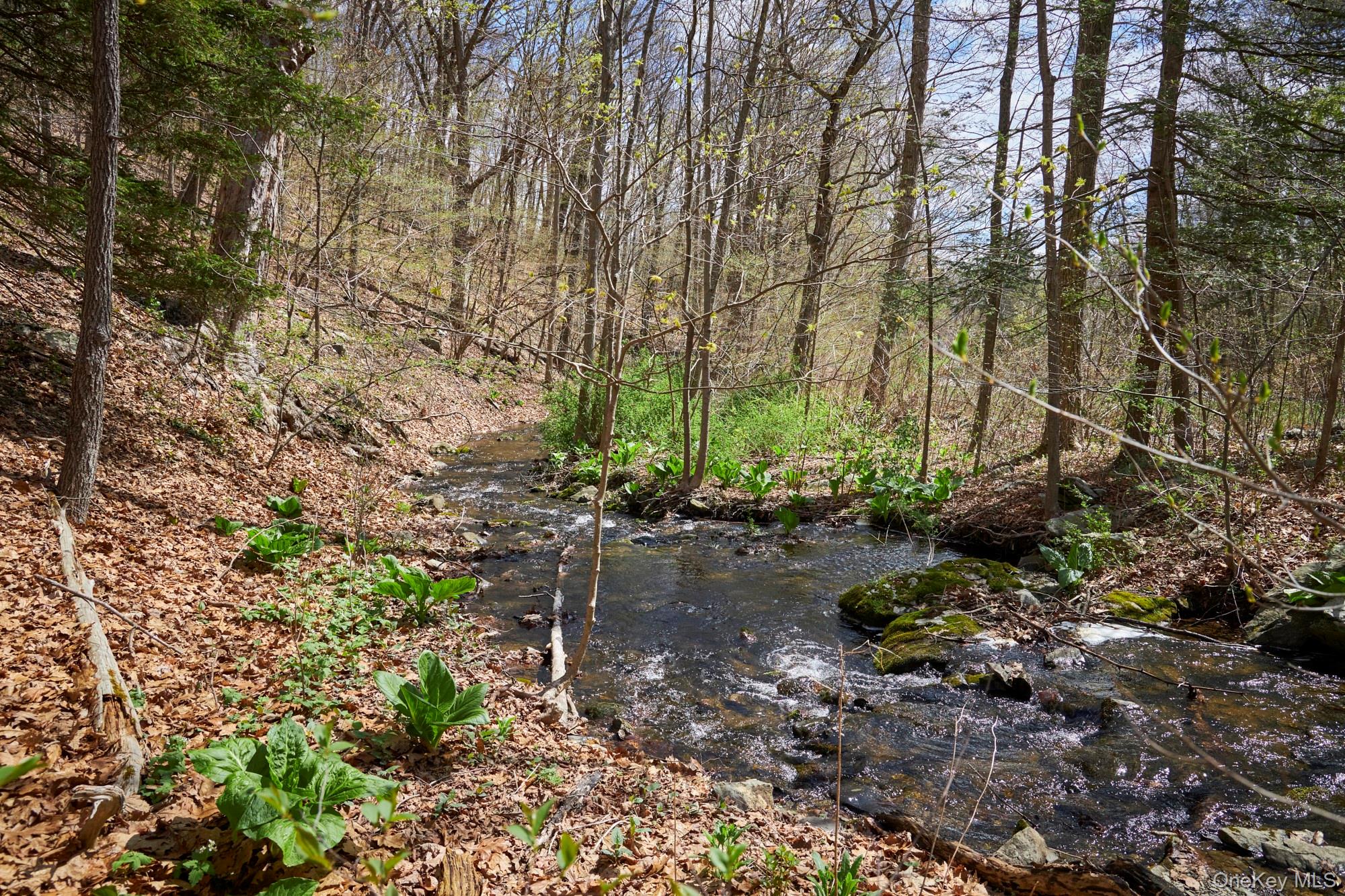 457 Round Lake Road Rhinebeck, NY 12572 - Photo 25 of 25 a backyard of a house with a yard and outdoor seating