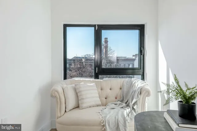 a living room with furniture and a potted plant