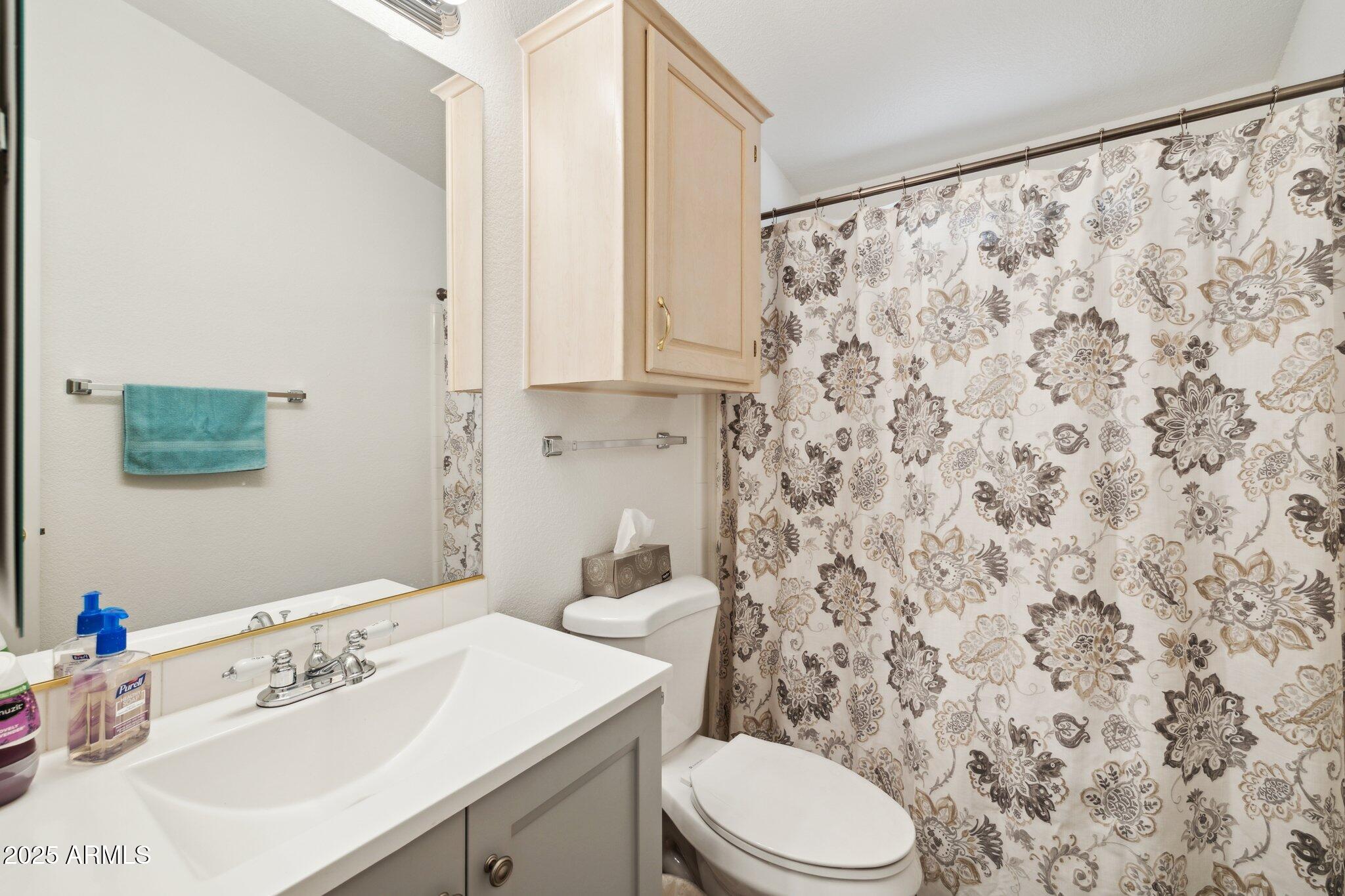 3901 East Pinnacle Peak Road, Unit 105 Phoenix, AZ 85050 - Photo 16 of 23 a bathroom with a sink a toilet and a mirror