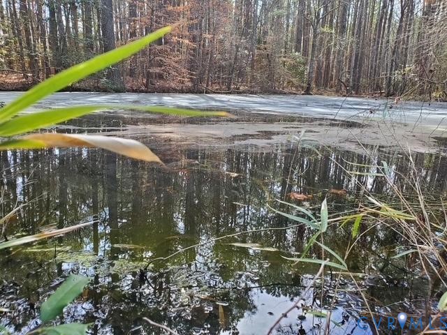 19890 River Road Courtland, VA 23837 - Photo 21 of 32 a view of swimming pool with a yard