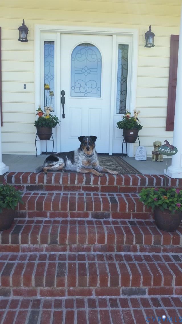 19890 River Road Courtland, VA 23837 - Photo 2 of 32 a view of a entryway