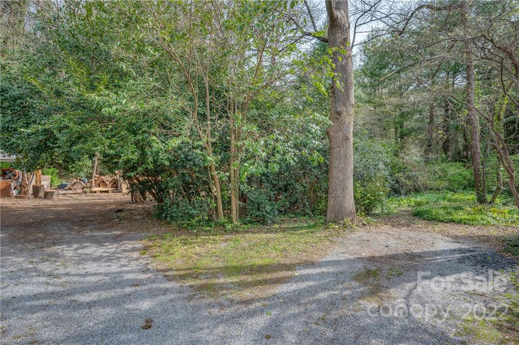 2226 Us Highway Tryon, NC 28782 - Photo 25 of 33 a view of a yard with a tree