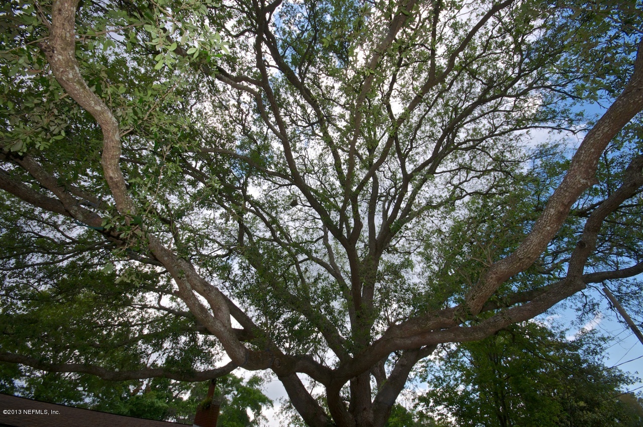 1768 Mayview Road Jacksonville, FL 32210 - Photo 23 of 23 Towering Oaks