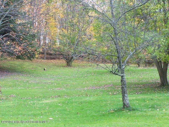 1199 Bendix Road Montrose, PA 18801 - Photo 3 of 7 a view of a trees with a yard