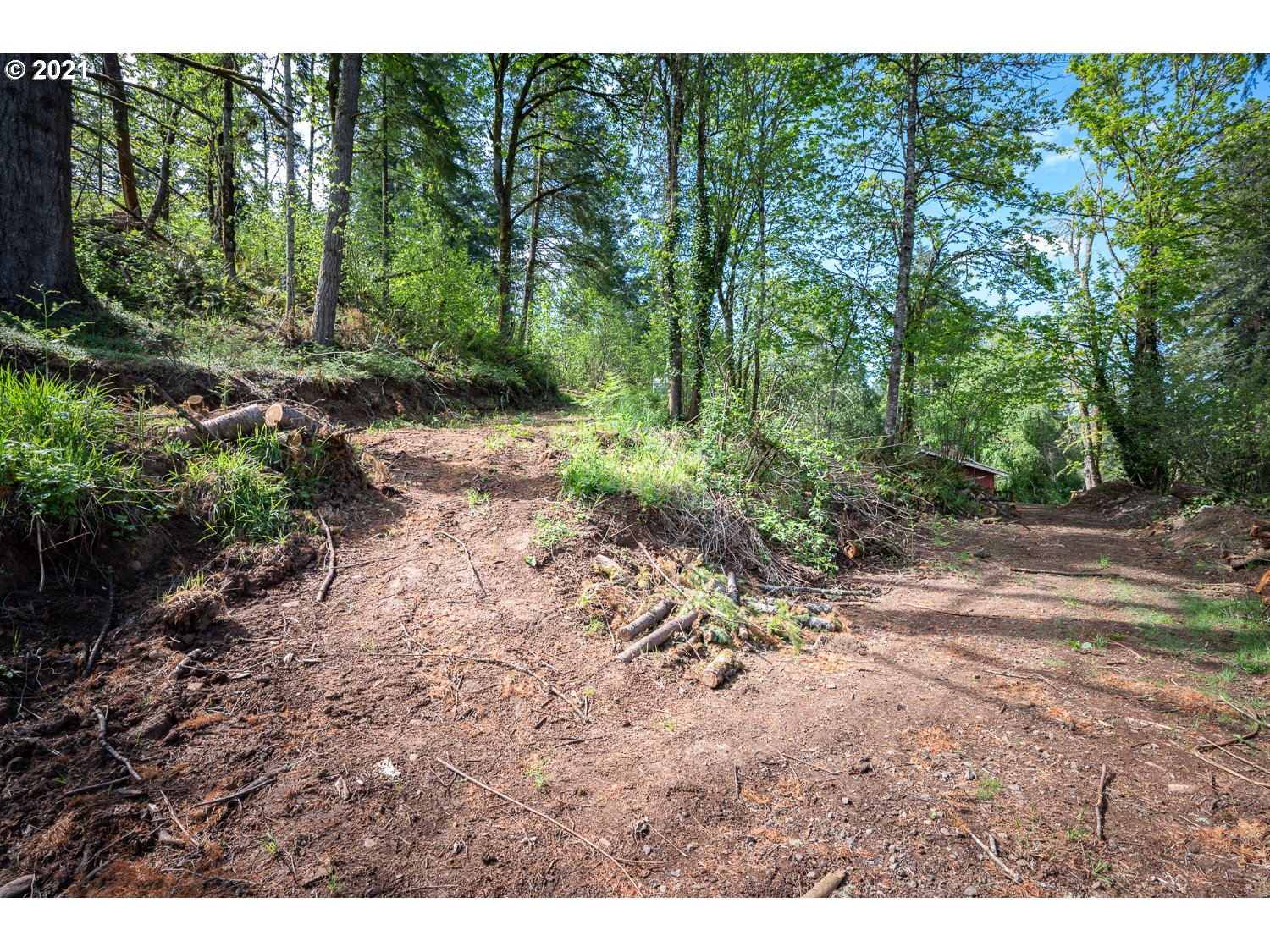 22514 South Redland Road Estacada, OR 97023 - Photo 26 of 28 a view of a yard with plants and a bench