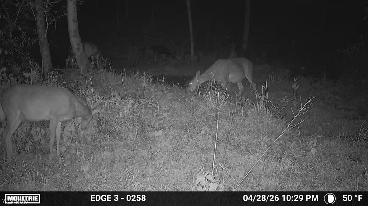 0 Twp Road Marietta, OH 45750 - Photo 49 of 50