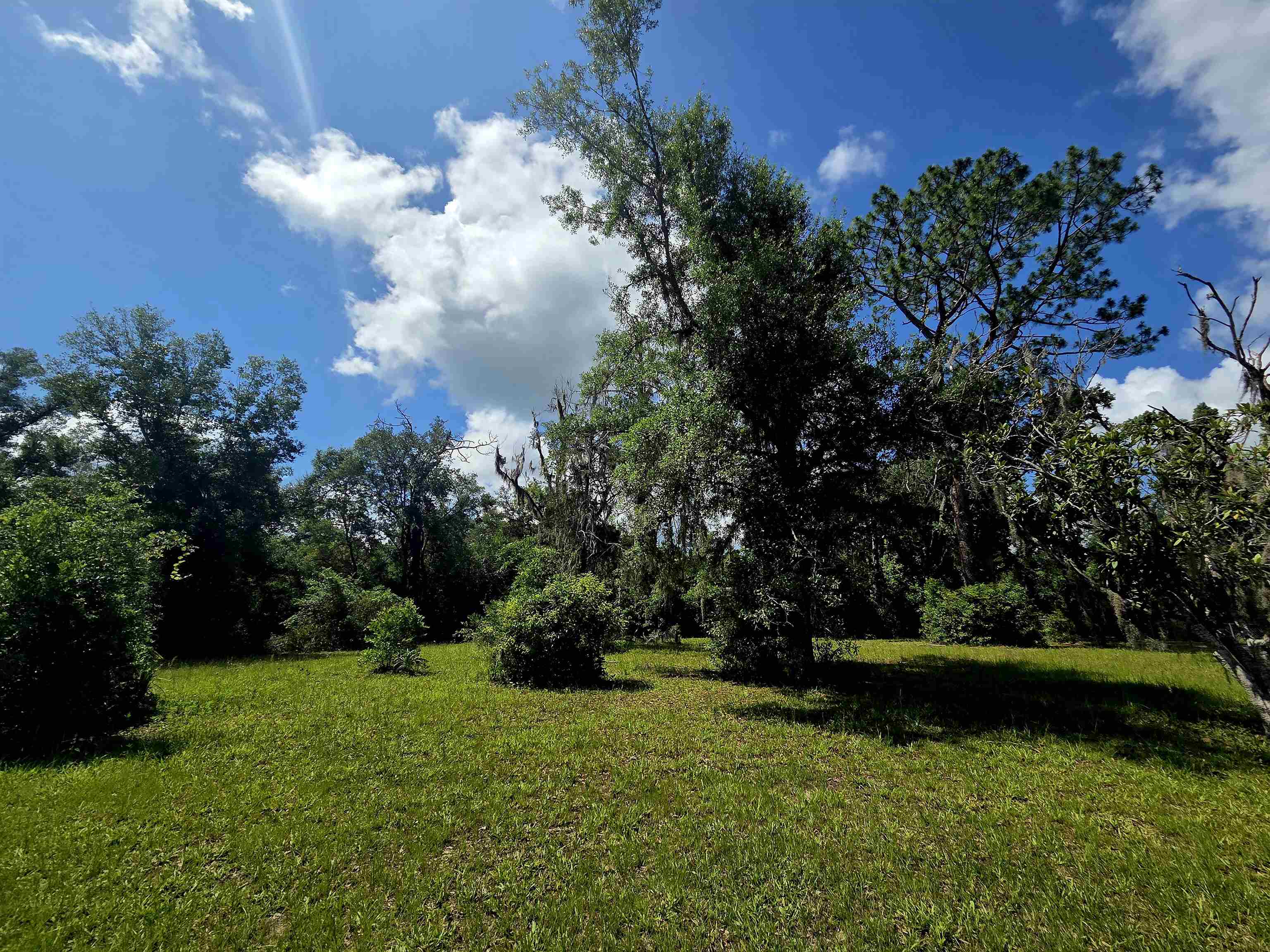 6-8 North Washington Street Perry, FL 32347 - Photo 11 of 15