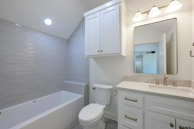 a bathroom with a sink toilet and vanity