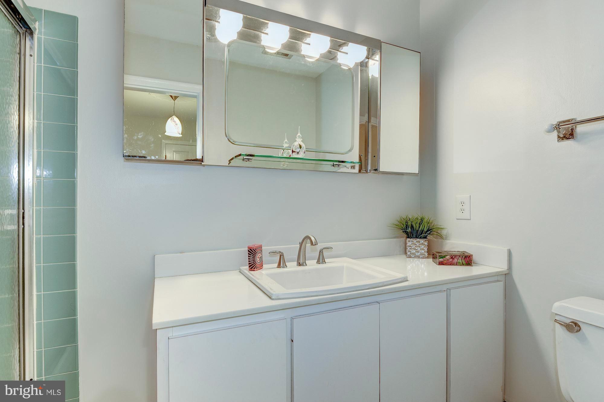 11804 Hunting Ridge Court Potomac, MD 20854 - Photo 18 of 30 Private Master Bathroom