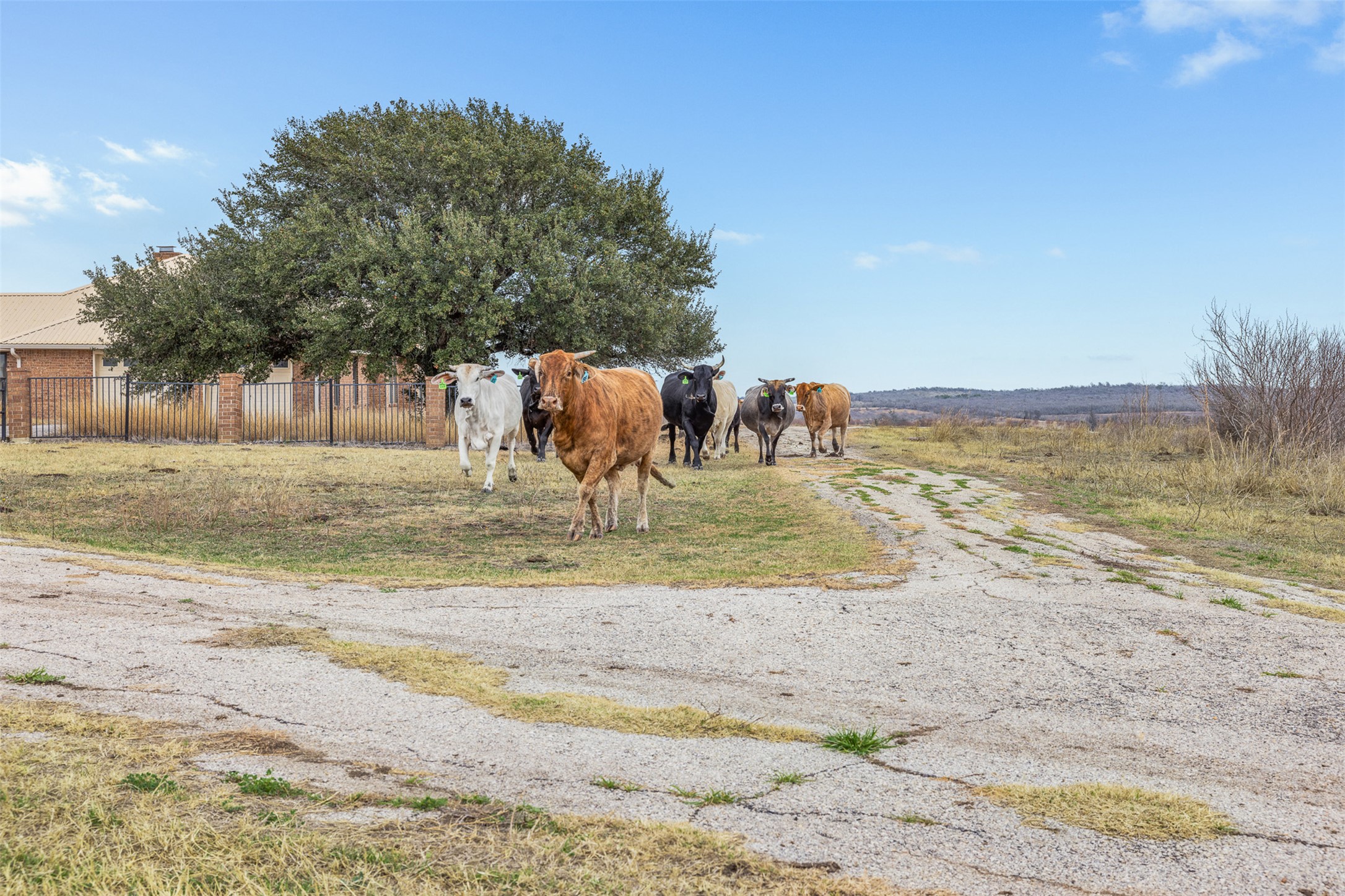 2884 Political Road Lockhart, TX 78644 - Photo 21 of 38 a view of a yard with an ocean view
